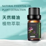 香精的奥秘 从天然到合成的芳香世界